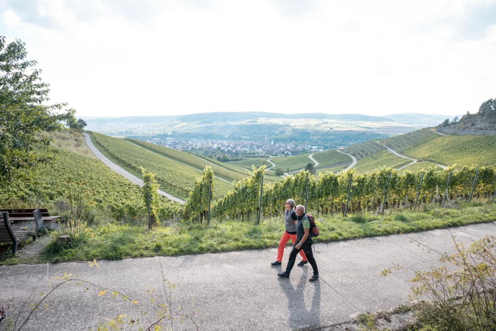 Wanderweg durch die Weinberge im ZweiUferLand