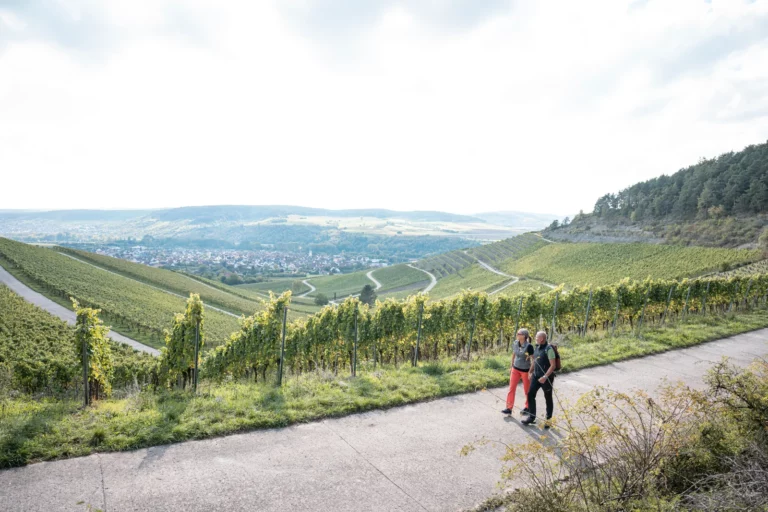 Weinberge im ZweiUferLand