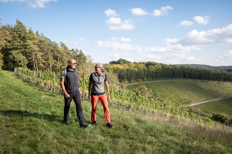 Wiesen und Weinberge im ZweiUferLand